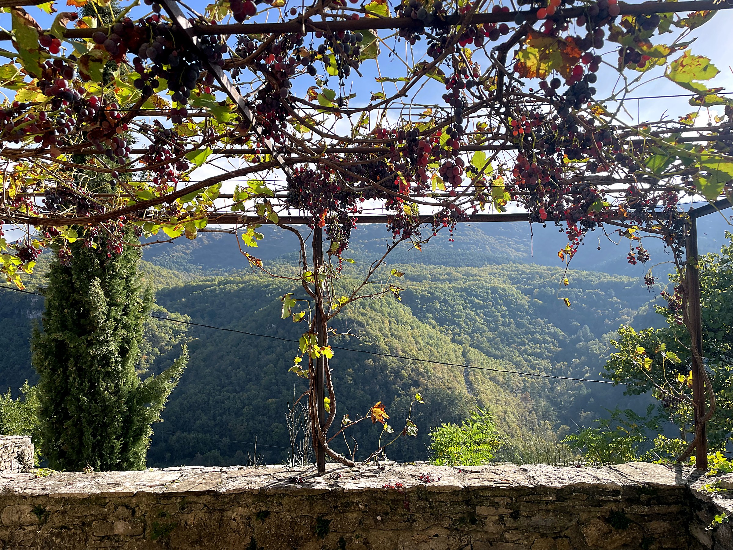 Vue sur la vallée du Cernon depuis la treille de vigne